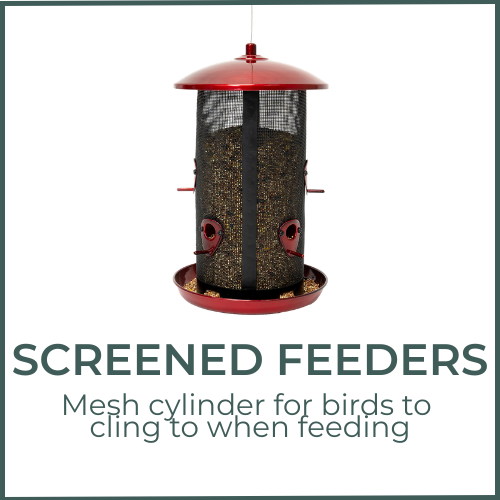 Screened Feeders - Mesh cylinder for birds to cling to when feeding.