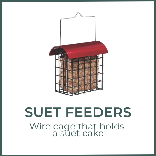 Suet Feeders - Wire cage that holds a suet cake.