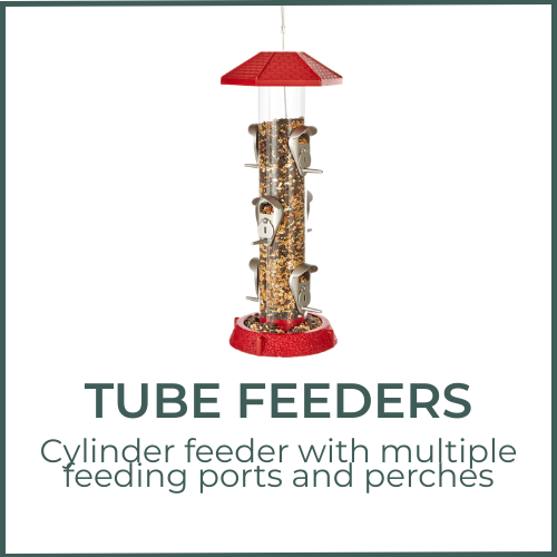 Tube Feeders - Cylinder feeder with multiple feeding ports and perches.